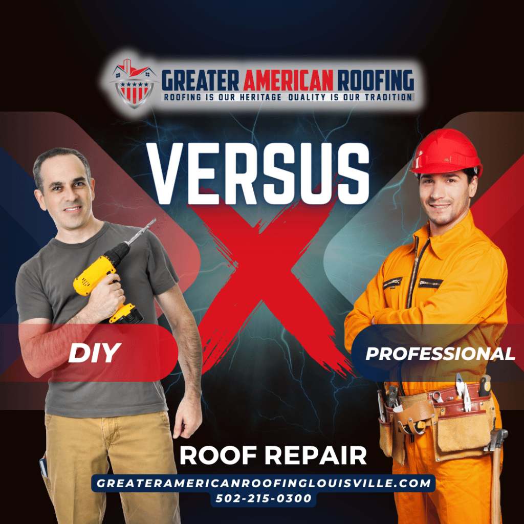 DIY Versus Professional Roof Repair - Louisville KY Roofing